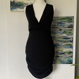 Aritzia Babaton Rouched Mini Dress